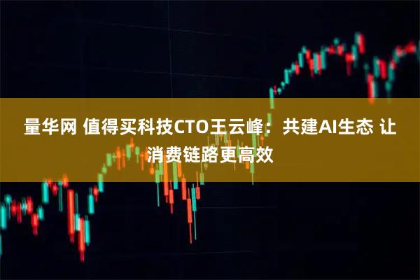 量华网 值得买科技CTO王云峰：共建AI生态 让消费链路更高效