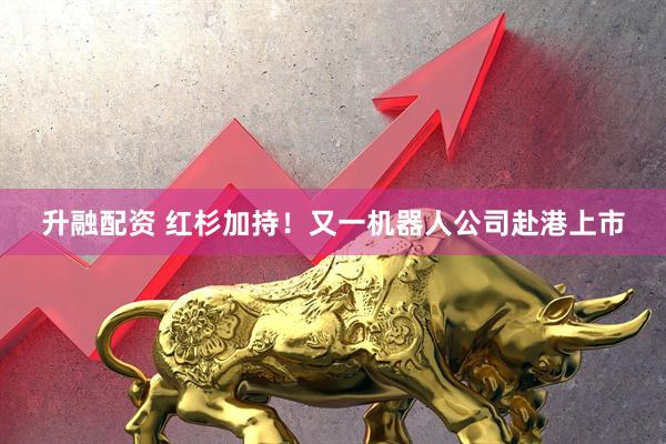 升融配资 红杉加持！又一机器人公司赴港上市