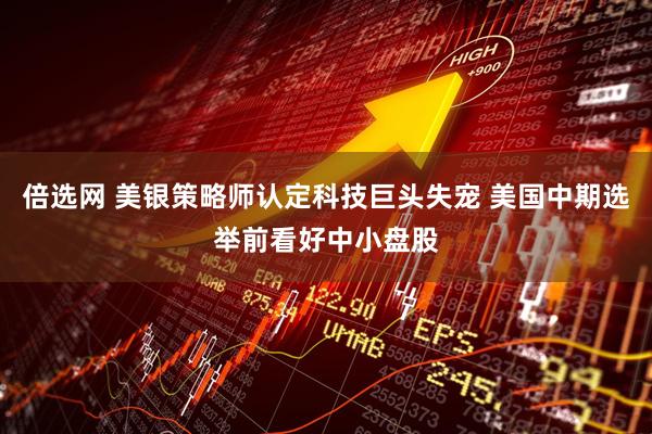 倍选网 美银策略师认定科技巨头失宠 美国中期选举前看好中小盘股