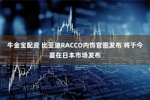 牛金宝配资 比亚迪RACCO内饰官图发布 将于今夏在日本市场发布