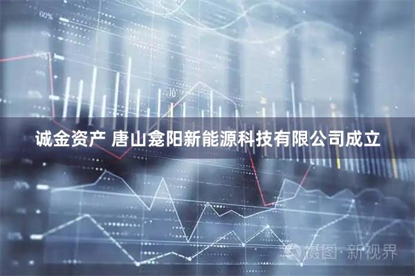 诚金资产 唐山龛阳新能源科技有限公司成立